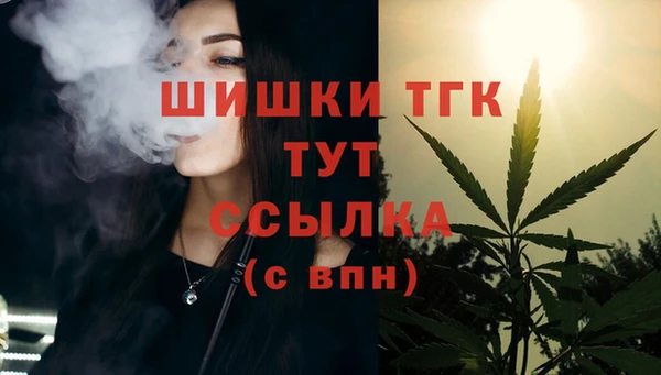 шишки Нягань
