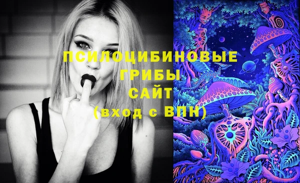 дживик Нязепетровск