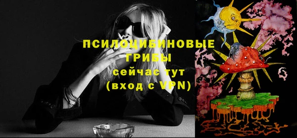 PSILOCYBIN Осинники