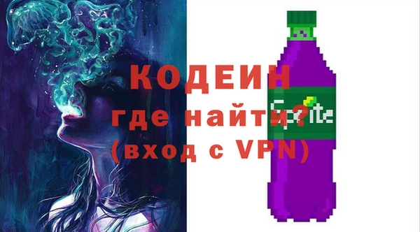 2c-b Новозыбков