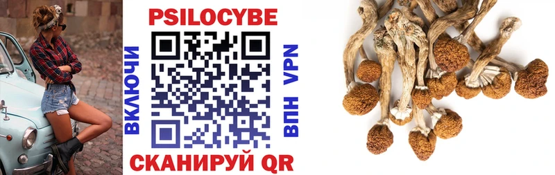 Галлюциногенные грибы Psilocybe  Ростов 